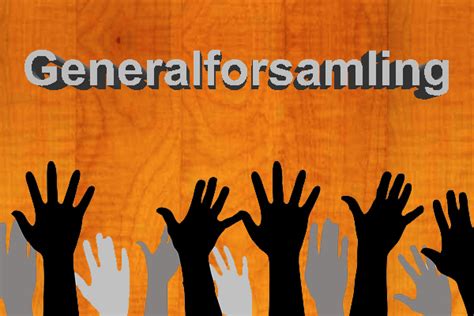 Read more about the article Generalforsamling DSF 2024